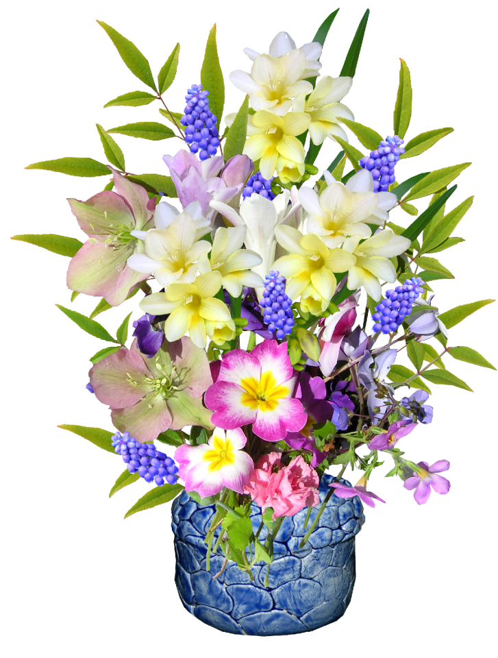 Fragrant blooms cut out
