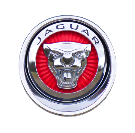 Logo auto automotive