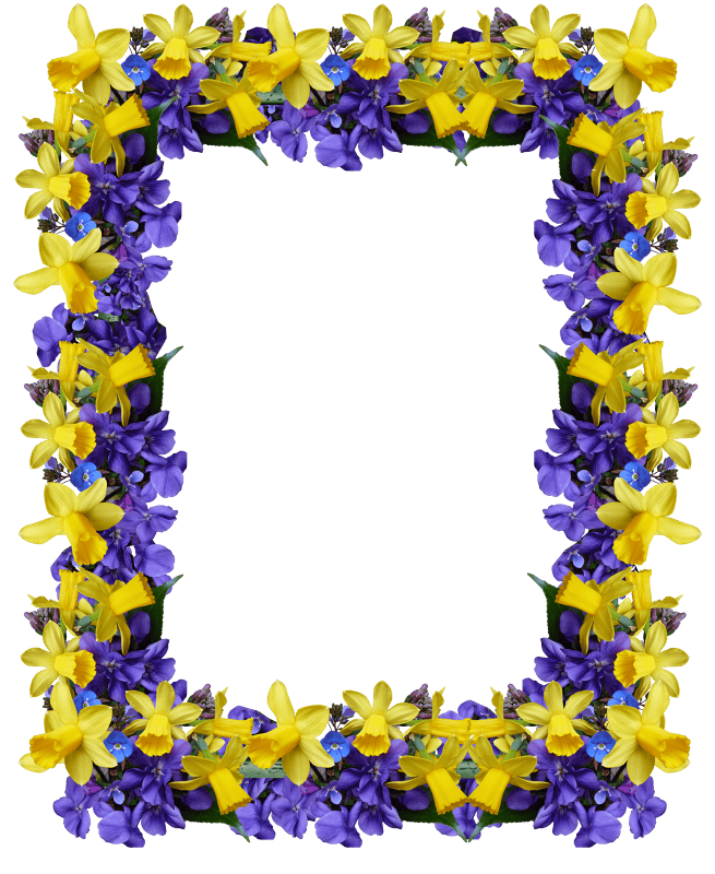 Flowers daffodils violets