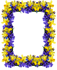 Flowers daffodils violets