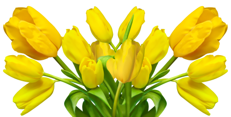 Plant federal government spring