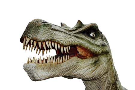 Prehistoric times t rex carnivorous dinosaurs