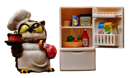 Refrigerator figure cute