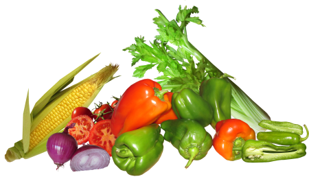 Healthy organic vegetarian