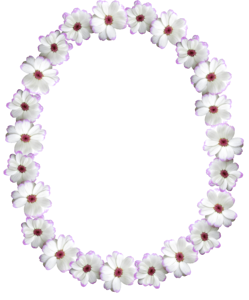 White flower decoration cut out