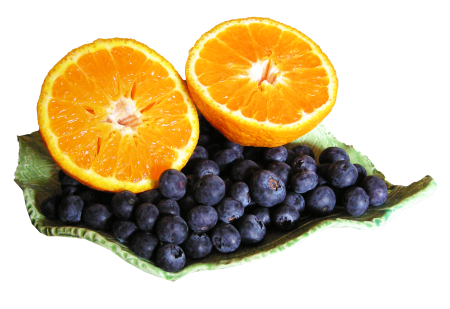 Fruit cut out isolated