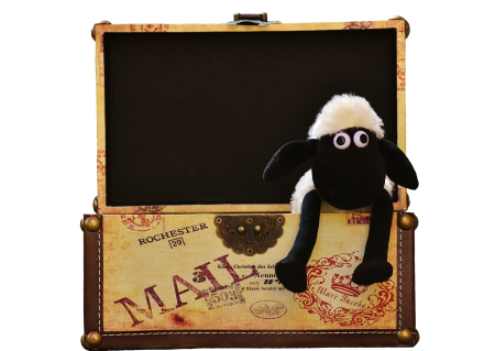 Funny animal soft toy
