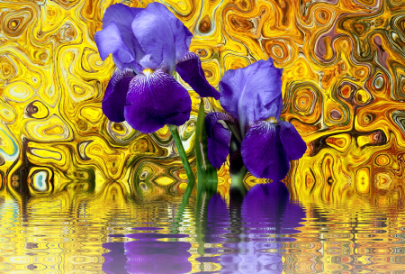 Bloom purple violet