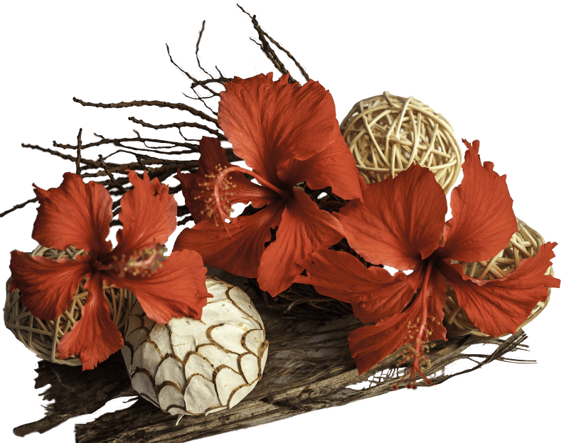 Driftwood flower arrangement hibiscus flowers