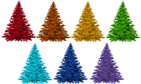Isolated fir tree christmas time