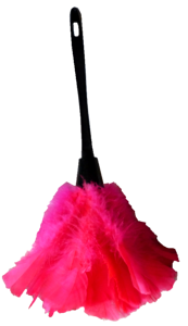 Feather duster housework cleaning