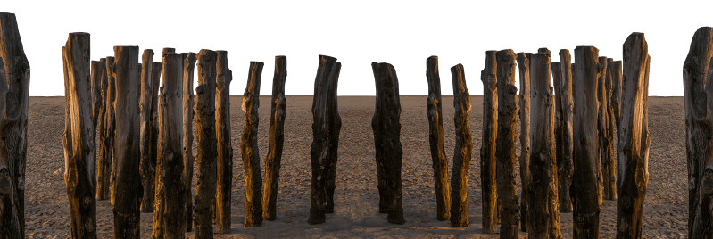 Log sea coast