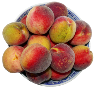 Round peach prunus persica fruit