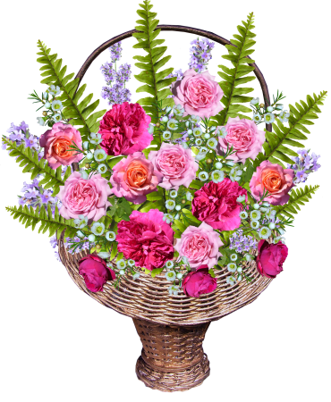 Ferns arrangement garden