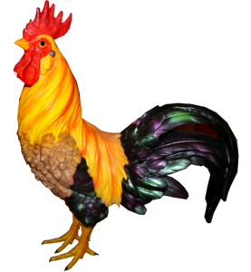 Colorful poultry cut out