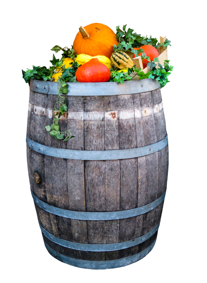 Agriculture pumpkin barrel