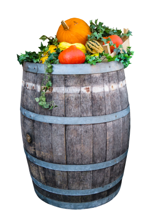 Agriculture pumpkin barrel
