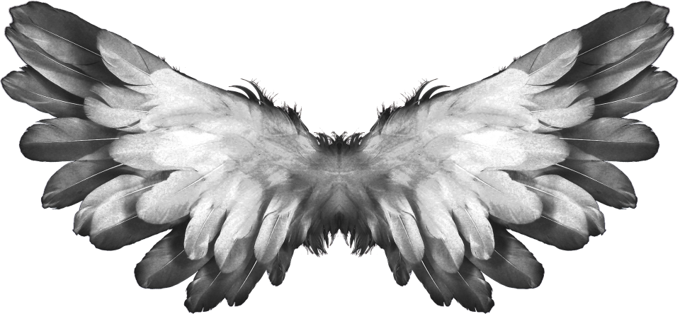 Heaven angel wings religion