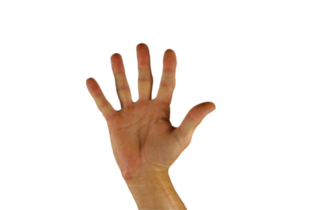 Finger five sign language