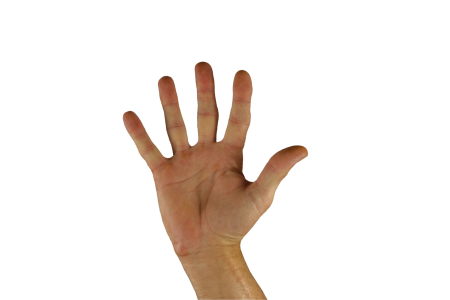 Finger five sign language