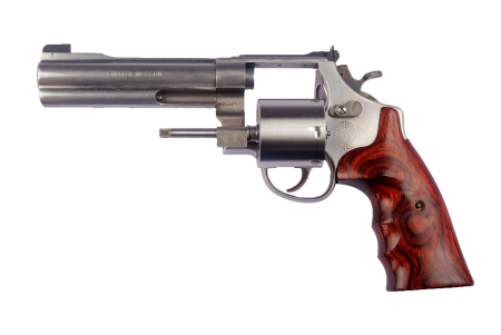 Smith wesson firearm