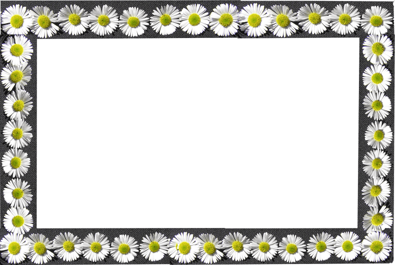 Flowers decoration cut out