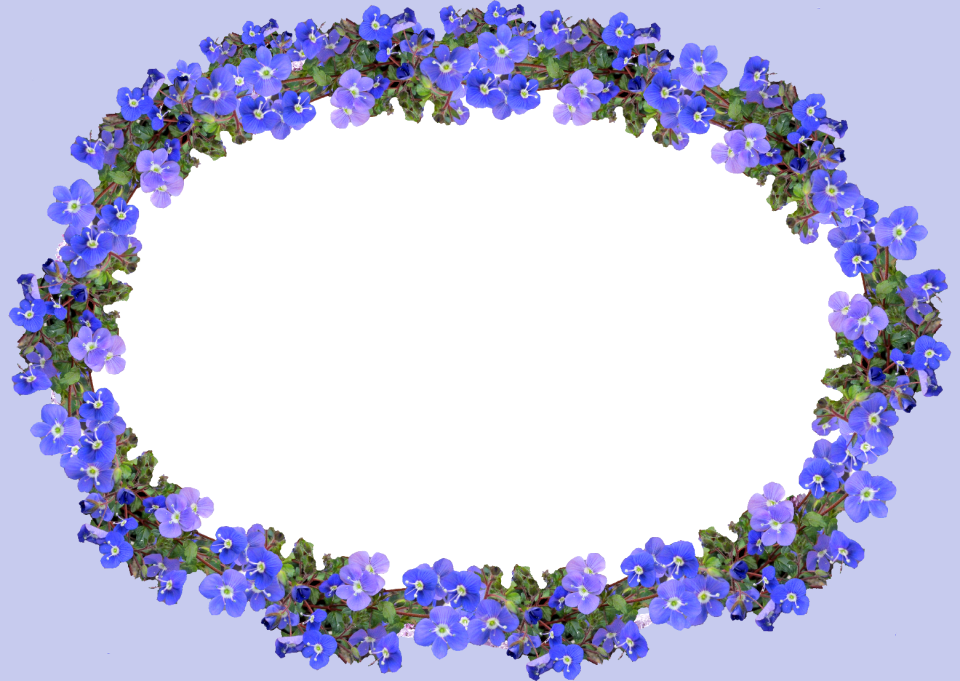 Blue floral cut out isolated