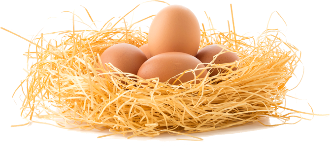 Drive the eggs nest egg eggs
