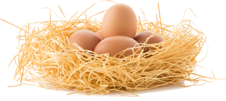 Drive the eggs nest egg eggs