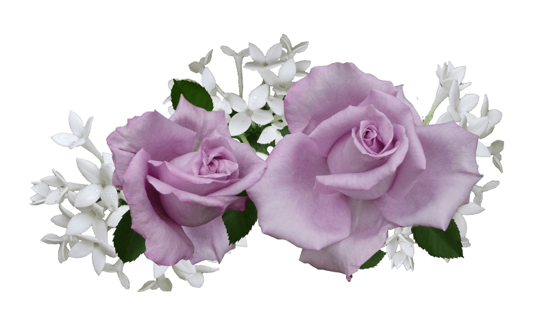 Flowers cut out isolated