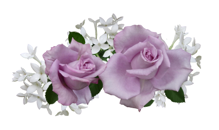 Flowers cut out isolated