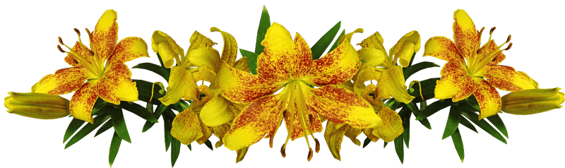 Fragrant cut out isolated