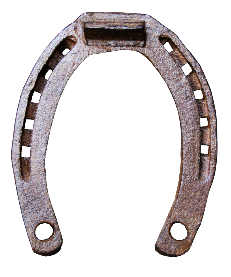 Metal horse rusty