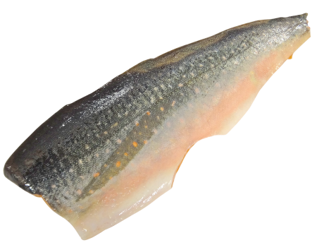 Salmon fillet alaska