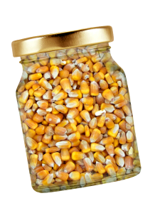 Corn kernels isolated exemption