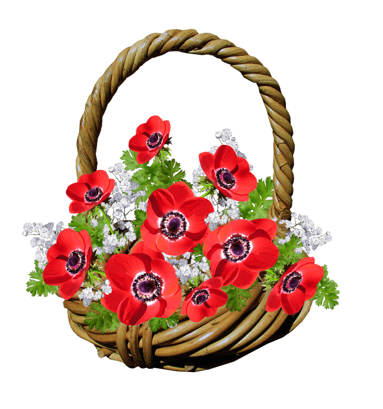 Flowers gift cut out