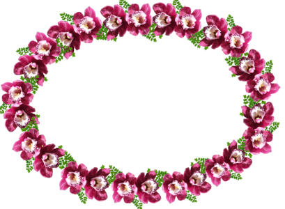 Frame border orchid