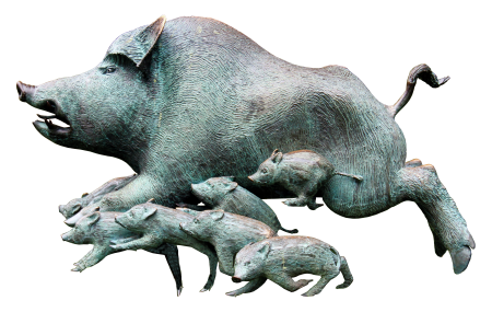 Pack little pig young animals