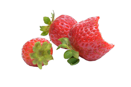 Fruit strawberry red