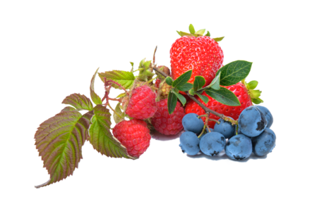 Raspberry strawberry fruit