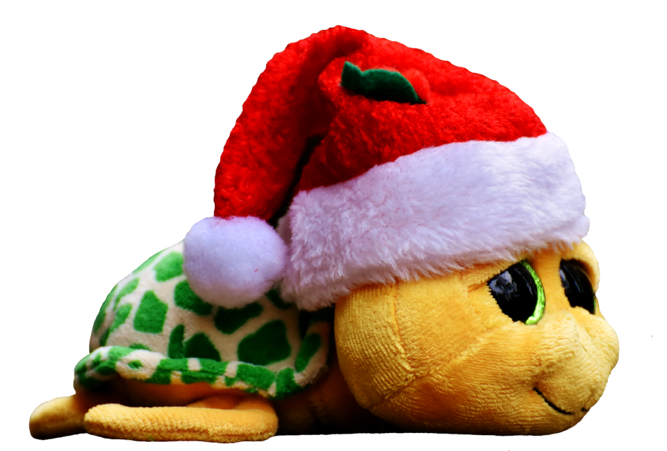 Cute santa hat funny