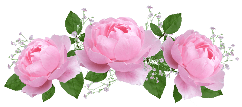 Arrangement garden nature