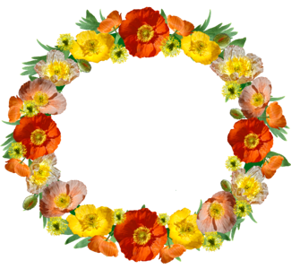 Border floral frame