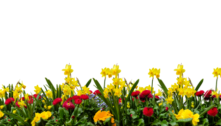 Garden spring isolated