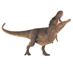 Jurassic tyrannosaurus reptile