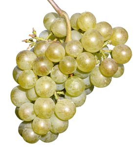 Grapes eat healthy