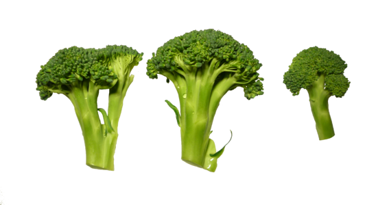 Broccoli clippings vegetables