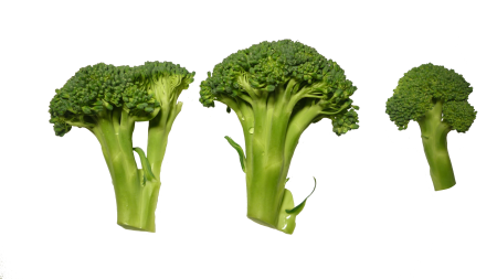 Broccoli clippings vegetables