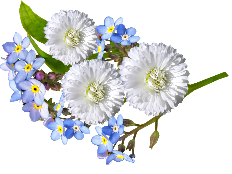 Blue flowers garden