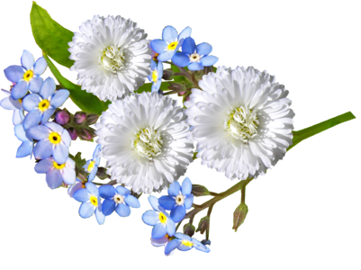 Blue flowers garden